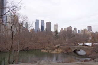 Central Park