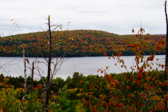 Indian Summer im Algonquin Provincial Park